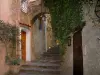 Bormes-les-Mimosas - Maisons, ruelle en escalier, lampadaire, plante en pot et plante grimpante