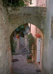 Bormes-les-Mimosas - Ruelle étroite bordée de maisons