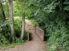 Bos van Montmorency - Een wandeling in het bos