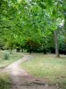 Bos van Vincennes - Met bomen omzoomd pad