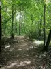 Bospark Poudrerie - Loop in de schaduw van de bomen