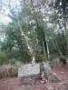 Bosque de Paimpont - La tumba de Merlín