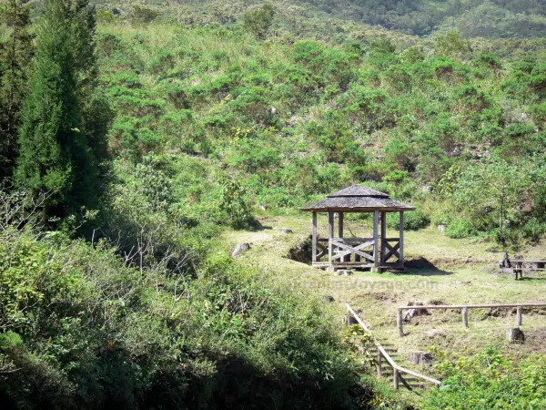 El bosque de Tévelave - Guía turismo, vacaciones y fines de semana en La Reunión