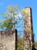 Botanische tuin van Carbet - Huis Latouche - Schoorsteen van de oude distilleerderij