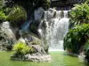 Botanische tuin van Deshaies - cascade