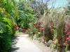 Botanische tuin van Deshaies - Oprit orchideeën