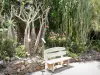 Botanische tuin van Deshaies - Houten bank op de oprit cactussen
