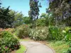 Botanische tuin van Deshaies - Oprit bougainvillea