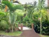 Botanischer Garten der Réunion - Pflanzen des Besitzes