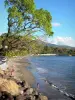 Bouillante - Relaxing on the Malendure beach