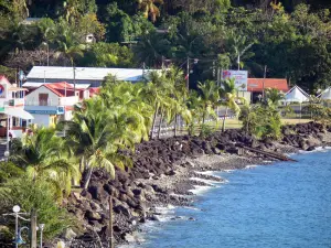 Bouillante - Las palmeras, rocas, guijarros y mar