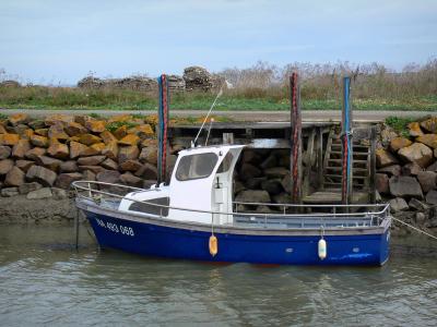 Bouin 5 Quality High Definition Images