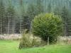 Bourbonnais landscapes