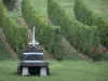 Bourbonnais landscapes - Saint-Pourçain vineyard (Saint-Pourcinois vineyard): juicer, roses and vines 
