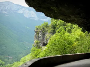 La Bourne gorges - Vercors Regional Nature Park: gorge-side road with a view of the trees and the cliffs of the gorges