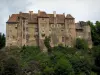 Boussac城堡 - 城堡，灌木和树木的立面