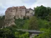 Boussac castle - Hilltop castle and trees