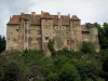 Boussac castle - Facade of the castle, shrubs and trees