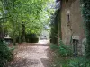 Brancion - Chemin parsemé de feuilles mortes, façade d'une maison, roses trémières et arbres