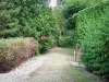 Brancion - Chemin bordé de végétation