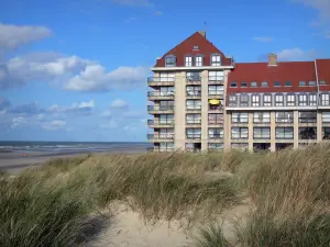 Bray-Dunes - Côte d'Opale : dunes plantées d'oyats, immeuble et plage de la station balnéaire, mer du Nord