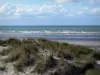 Bray-Dunes - Opalküste: Düne bepflanzt mit Dünengräser, mit Blick auf die Nordsee