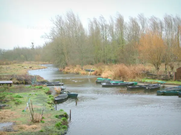 Brière Regional Nature Park - Tourism, holidays & weekends guide in the Loire-Atlantique