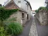 Briis-sous-Forges - Village carril bordeada de casas