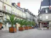Brive-la-Gaillarde - Palmiers en pots et façades de la vieille ville