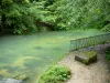 Bron van de Ain - Bron van de rivier de Ain, bomen langs het water ingericht