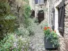 Brousse-le-Château - Strada lastricata fiancheggiata da fiori e case in pietra del borgo medievale