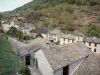 Brousse-le-Château - Vista sopra i tetti del villaggio