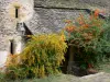 Brousse-le-Château - Arbustes en fleurs ornant l'église Saint-Jacques-le-Majeur