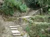 Brousse-le-Château - Escaliers de pierre bordés de végétation