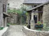 Brousse-le-Château - Casas de pedra da vila medieval