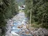 Brücke Espagne - Naturstätte der Brücke Espagne (Brücke Spanien): Gebirgsbach, Felsen und Bäume; im Nationalpark der Pyrenäen, auf der Gemeinde Cauterets