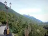 Brug Napoléon - Sinds de brug versierd met een lantaarnpaal, met uitzicht op de vallei van de Gave de Gavarnie bedekt met bomen