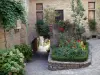 Bruniquel - Ruelle fleurie, porche et maison en pierre