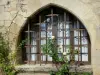 Bruniquel - Fenêtre d'une maison et son rosier grimpant