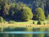 Bugey - Hoge Bugey: Lake Genin, weilanden en bomen