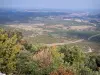 Buquê de guiador - Do Guidon du Bouquet (ponto mais alto do Monte Bouquet), vista das árvores em primeiro plano, o cerrado Gard e a paisagem circundante