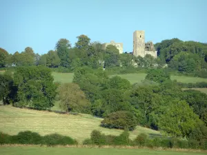 Butte de Thil - Remains of Thil castle perched on the wooded hill