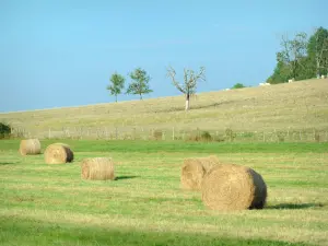 Butte de Thil - Bales of hay in a field, at the foot of the mound of Thil