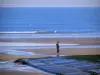Cabourg - Côte Fleurie: praia de areia da estância balnear com um andador, na maré baixa, ave marinha em pleno vôo e mar (o canal)