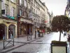 Caen - Bâtiments, boutiques, lampadaires et arbustes en pots de la rue Saint-Pierre