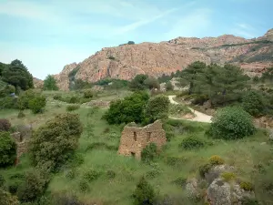 Calanche de Piana - Herbage, buissons (maquis) avec les ruines d'une maison (bergerie) en pierre et la roche de granit rouge des calanques en arrière-plan