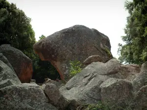 Calanche de Piana - Roche de granit rouge (des calanques) : Tête du Chien