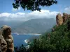 Calanche de Piana creeks - Trees, rock and red granite cliffs (creeks) overhanging the Mediterranean sea, clouds in the sky