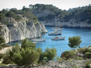 Les Calanques - Côtes du massif des Calanques bordées de pins et mer où flottent des voiliers