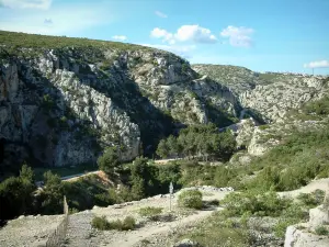 Les Calanques - Forêt du massif des Calanques